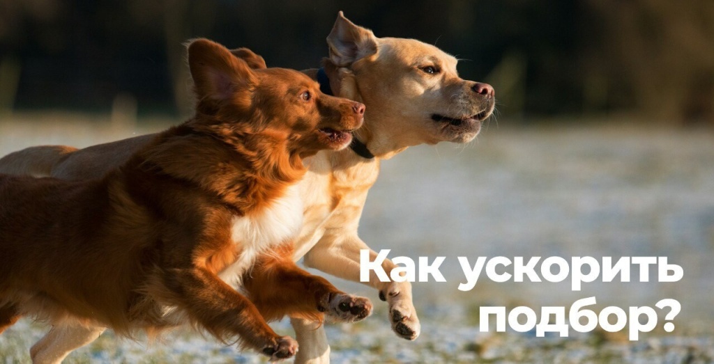 6c2d5e30-087d-5a49-ac5f-2a819d09a80b.jpg 6c2d5e30-087d-5a49-ac5f-2a819d09a80b.jpg